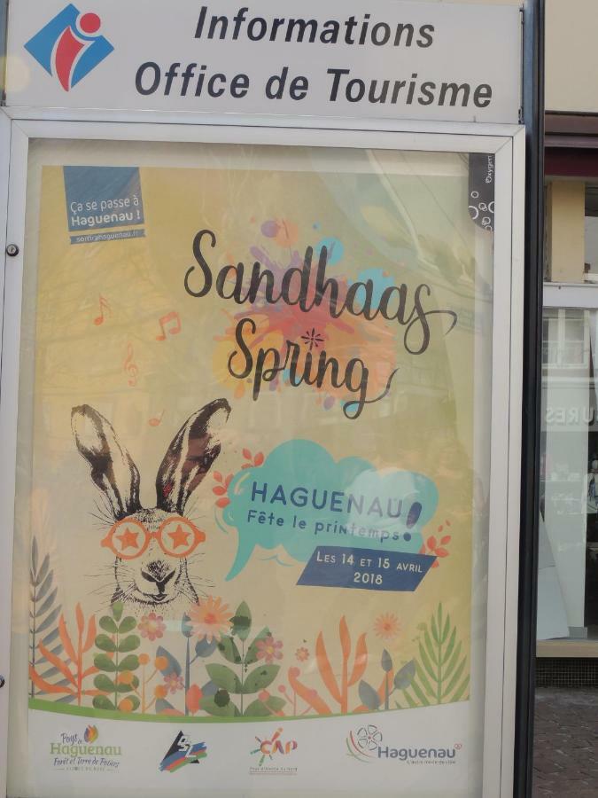 Appart'Azur Haguenau - Centre Grand'Rue - Logements Entiers Pour Voyageur Pro מראה חיצוני תמונה